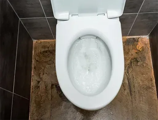 Desentupimento de Vasos Sanitários em Nova Odessa